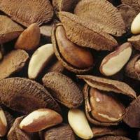 2014-6-17-850para ořechy 2.jpg